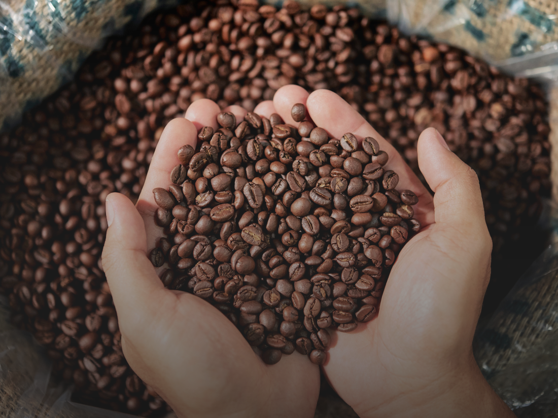 Choosing the Right Beans